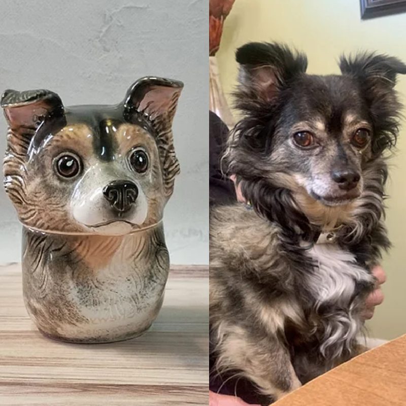 Custom Pet Portrait, Personalized Cookie Jar with Lid, Ceramic Portrait from Photo Figurine