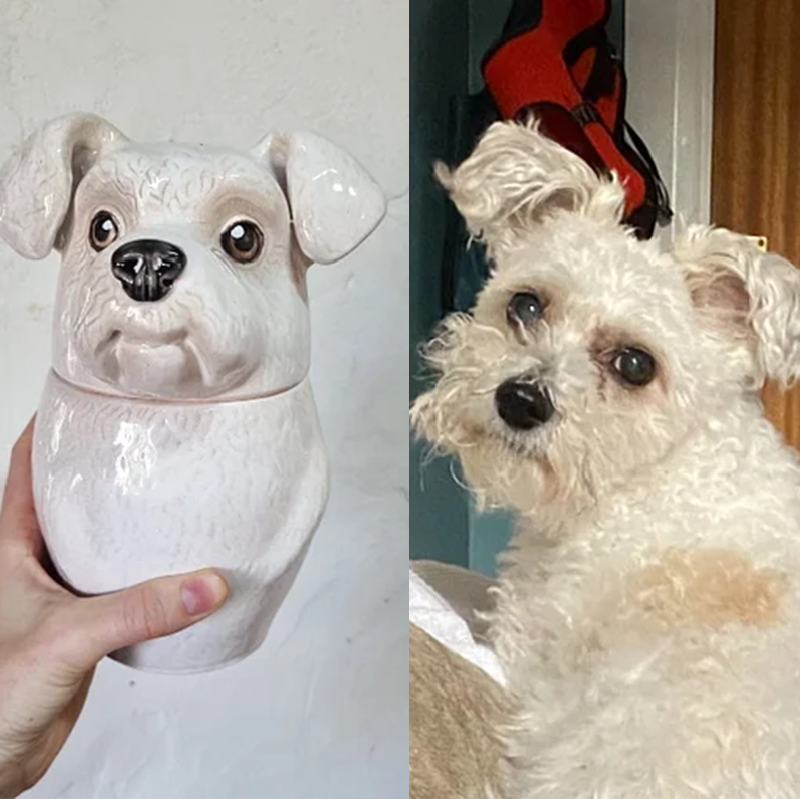 Custom Pet Portrait, Personalized Cookie Jar with Lid, Ceramic Portrait from Photo Figurine