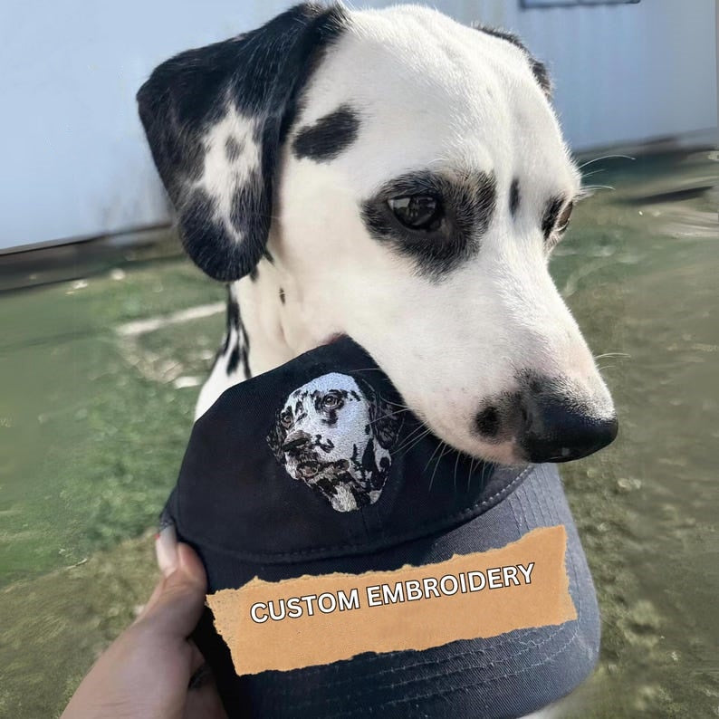 Custom Embroidered Pet Portrait Baseball Hat