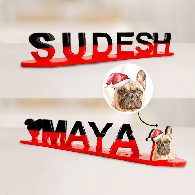 💕 Custom Dual Name Pet 3D Printed as Xmas Gifts, 🐶Gifts for Pet Moms or Dads 🎁