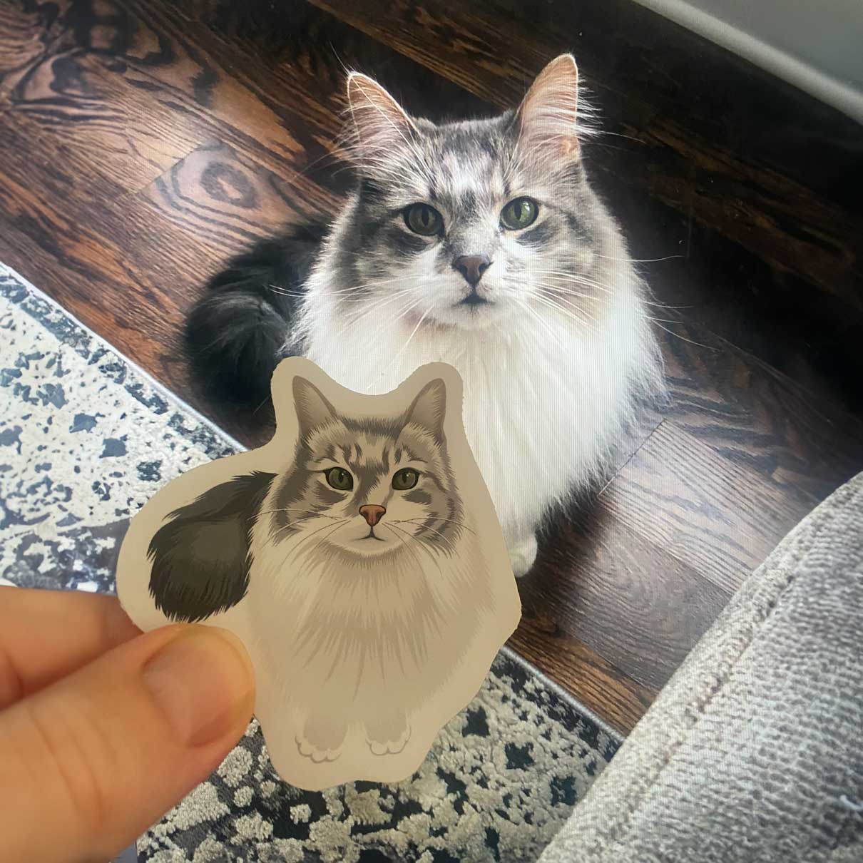 Turn Photos into Hand Drawn Stickers