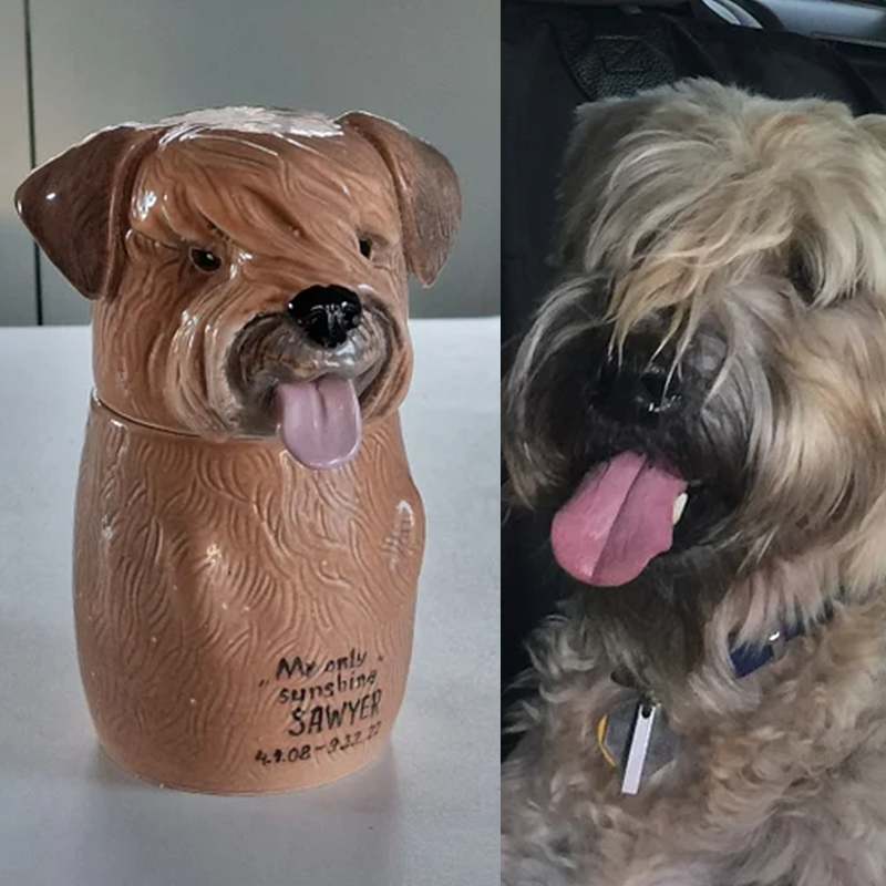 Custom Pet Portrait, Personalized Cookie Jar with Lid, Ceramic Portrait from Photo Figurine