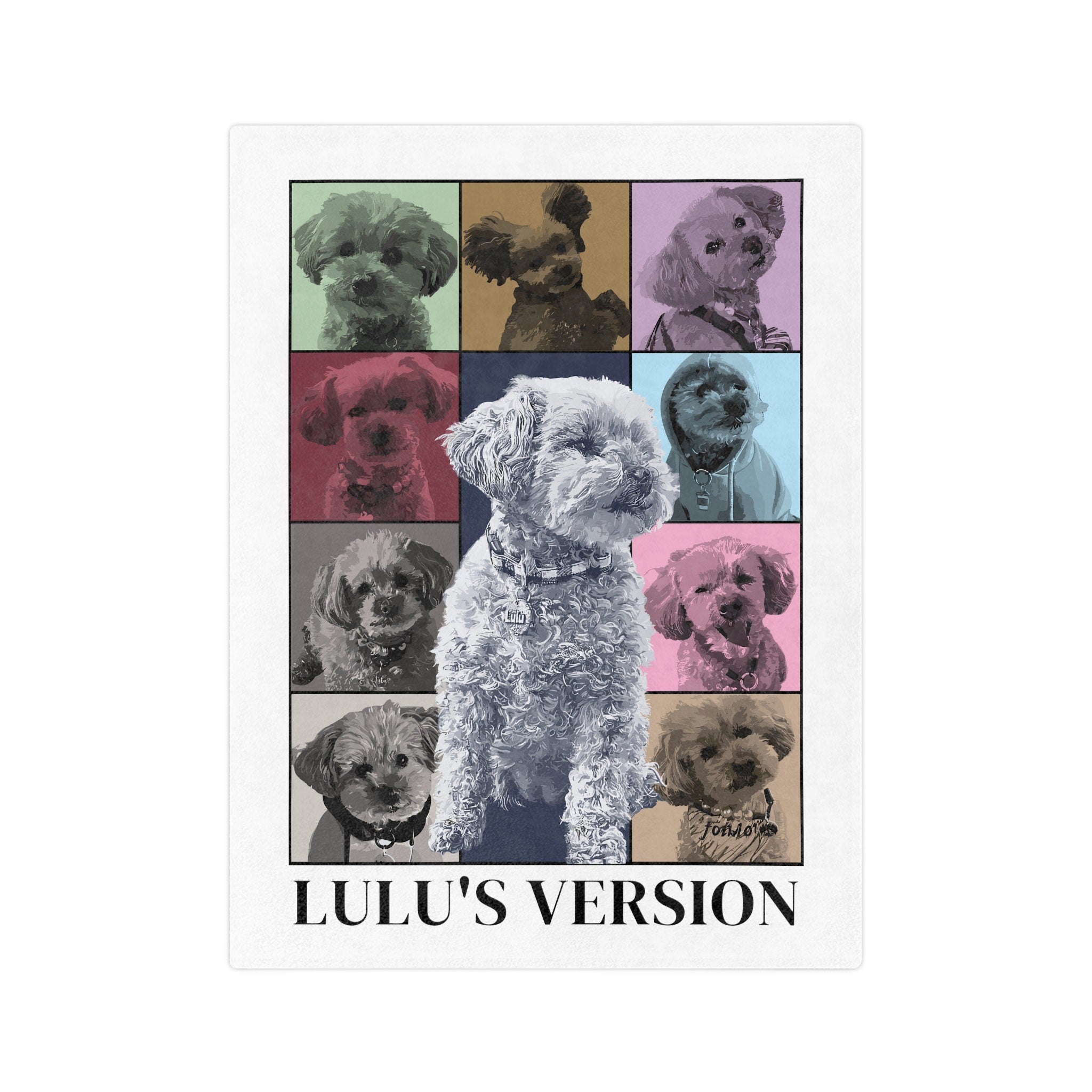 Eras Tour Style Blanket, Personalized Blanket, Gift For Pet Lovers, Custom Photo