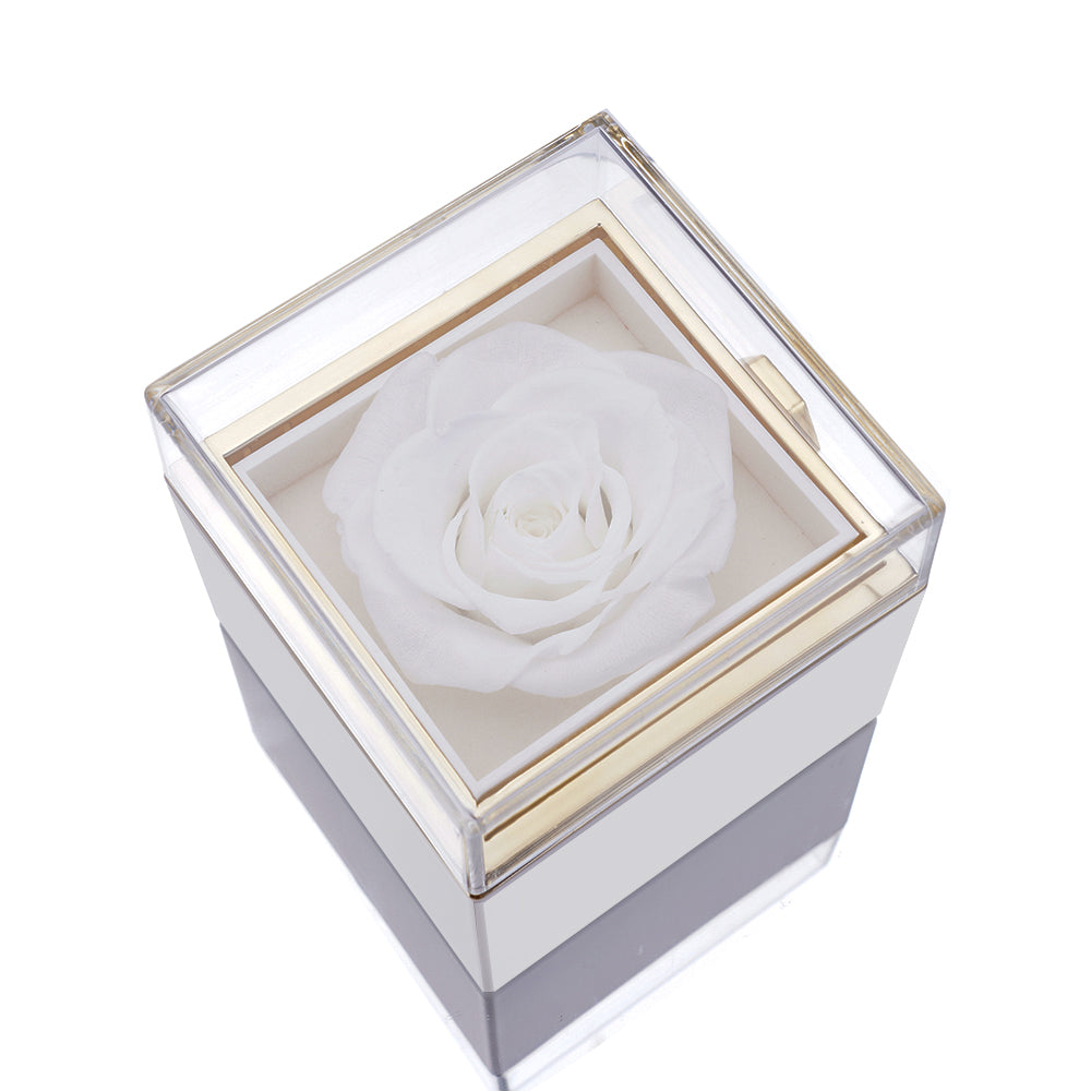 Eternal Rose Box - W/ Engraved Necklace & Real Rose - Valentine's Day