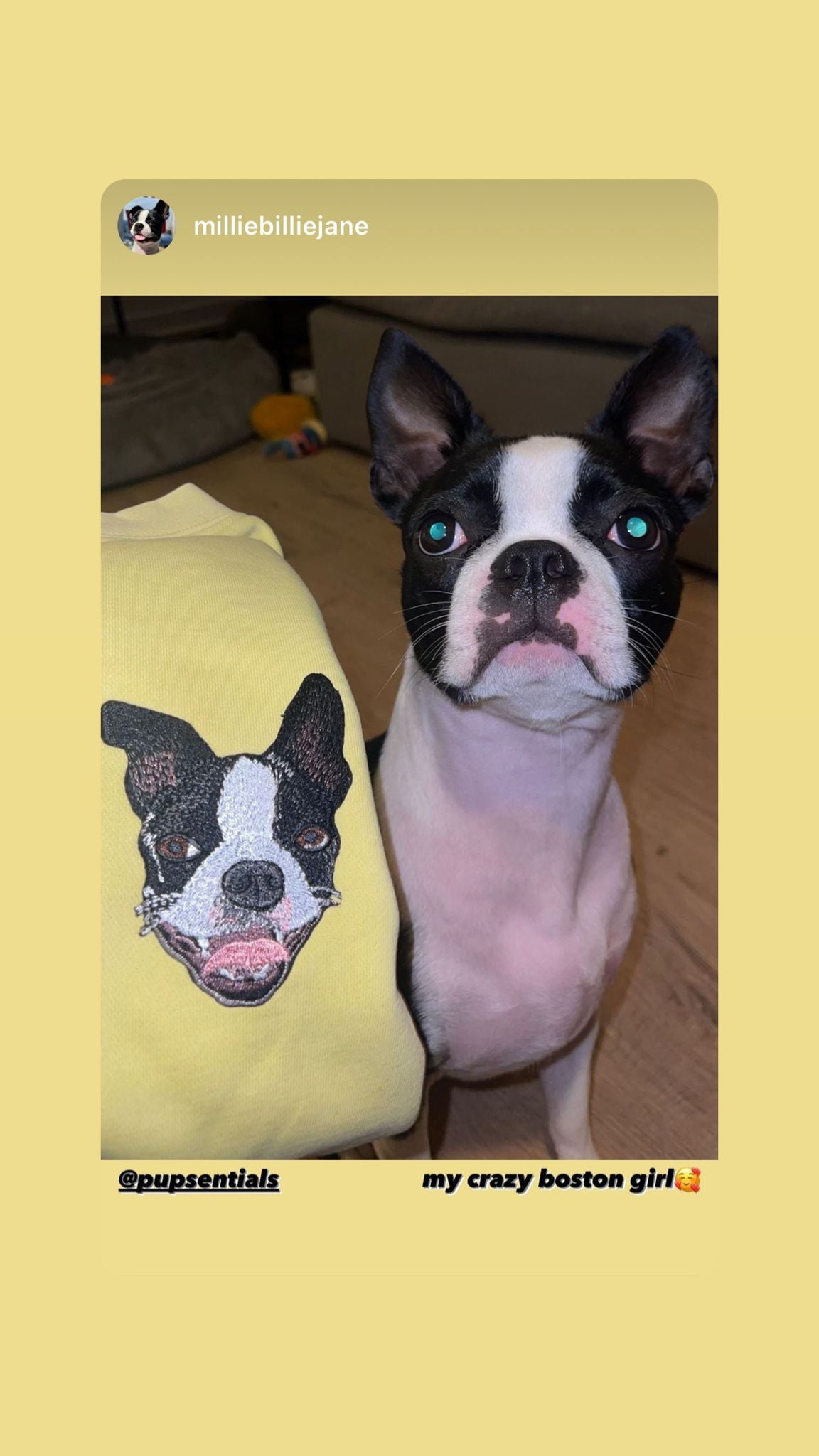 The Custom Embroidered Pet Portrait Patch Sweatshirt