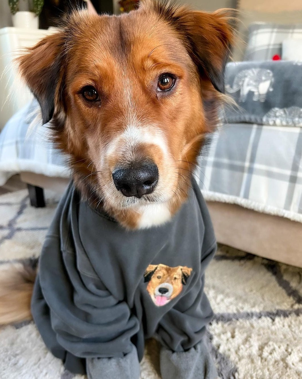 The Custom Embroidered Pet Portrait Patch Sweatshirt