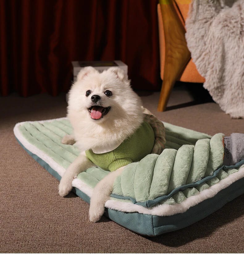 Pet Mattress