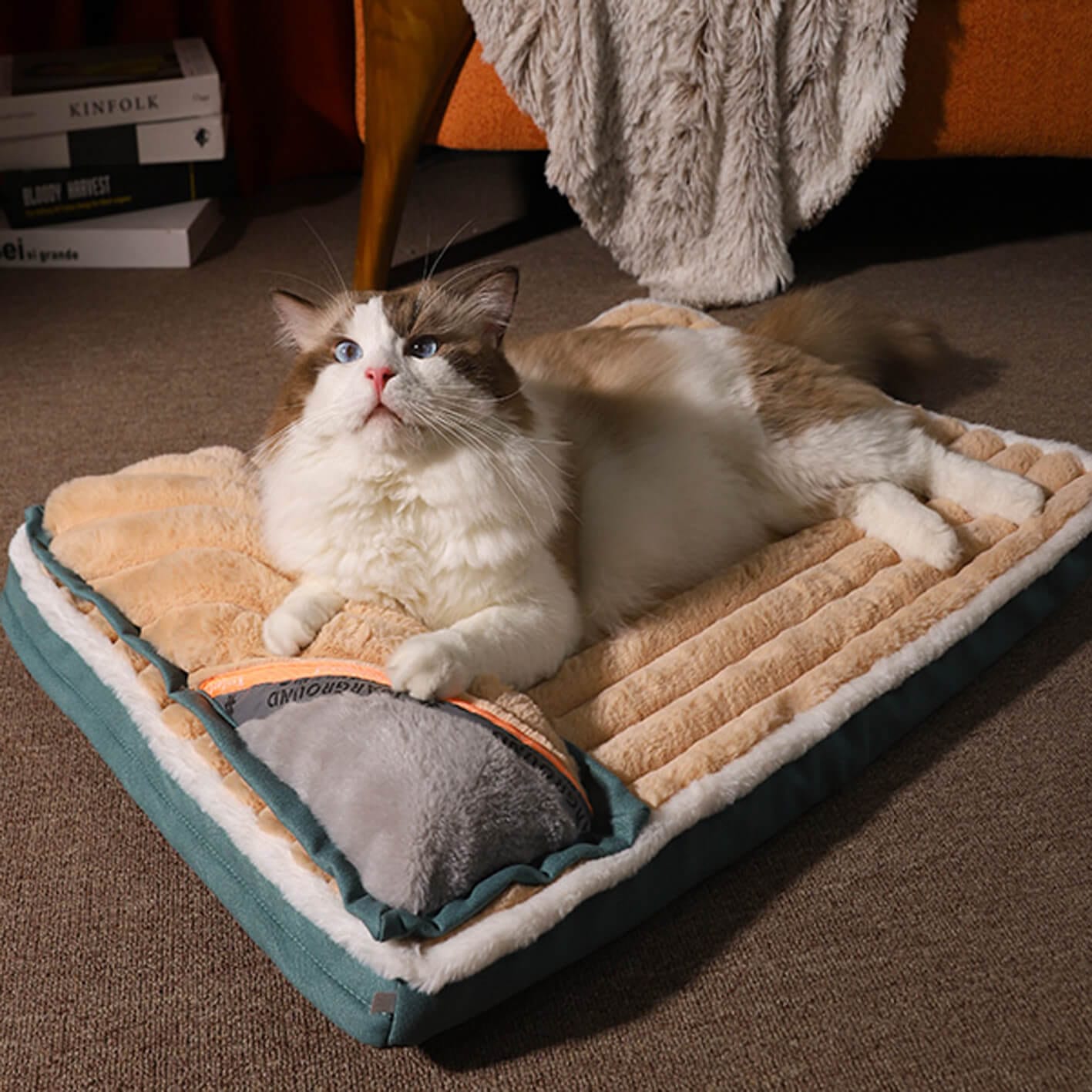 Pet Mattress