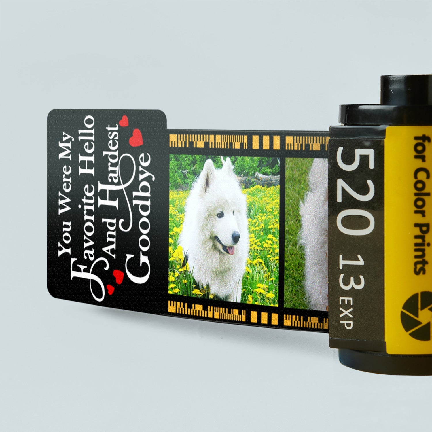 Custom Photo No Longer By My Side - Memorial Gift For Dog Lovers, Cat Lovers, Pet Lovers - Personalized Film Roll Keychain